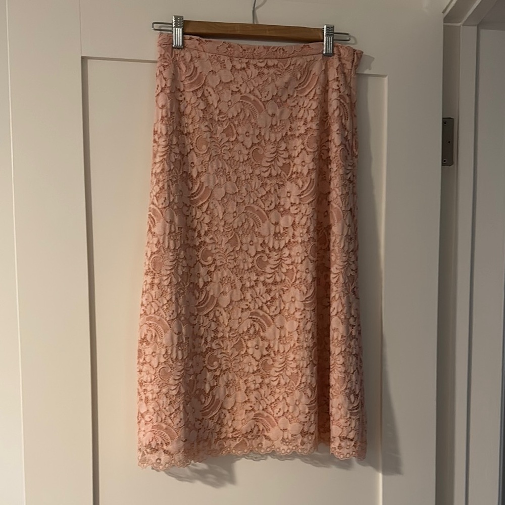 Zara Blush Pink Lace Skirt